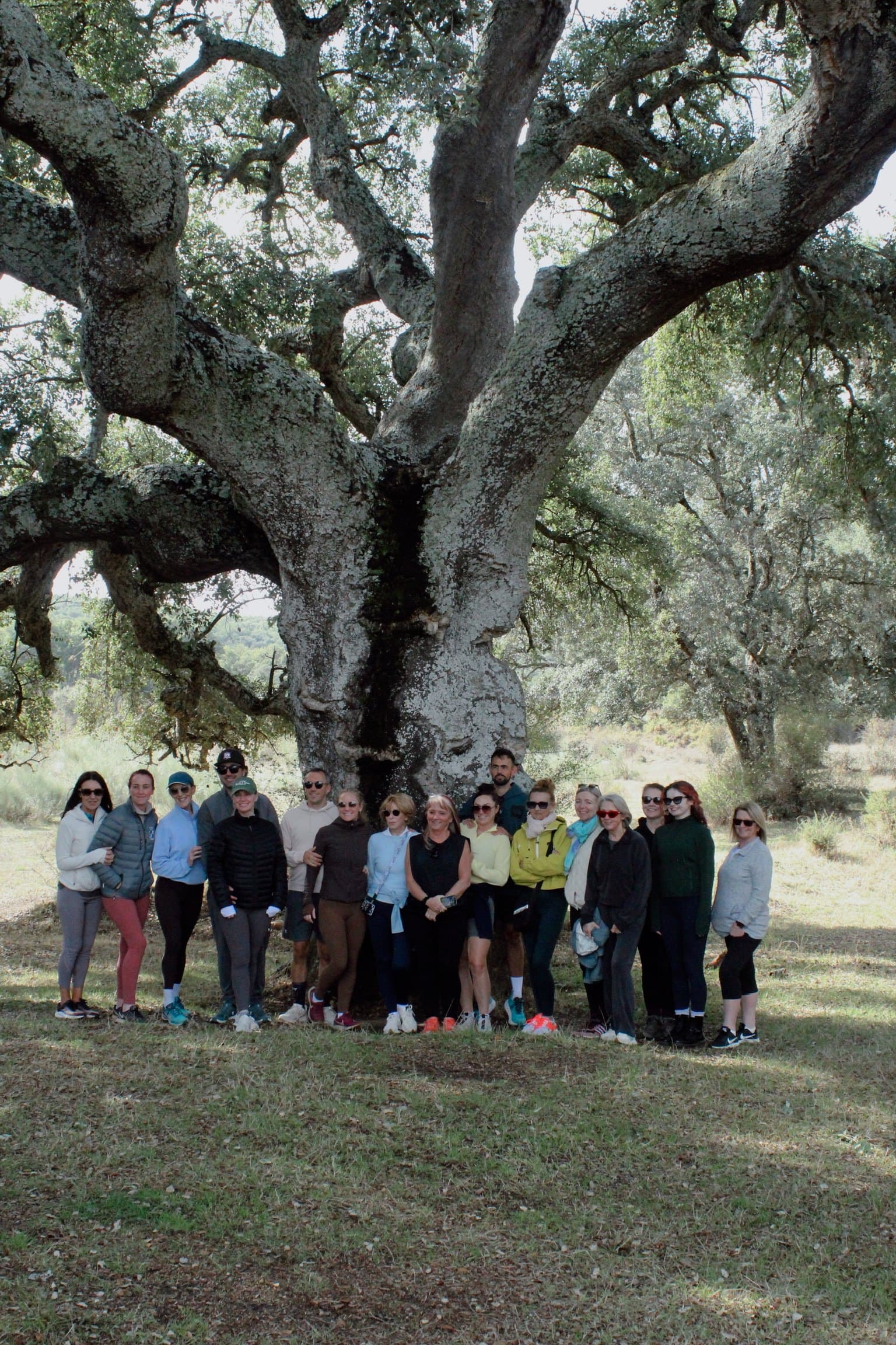 A retreat group gathered beneath a great oak
