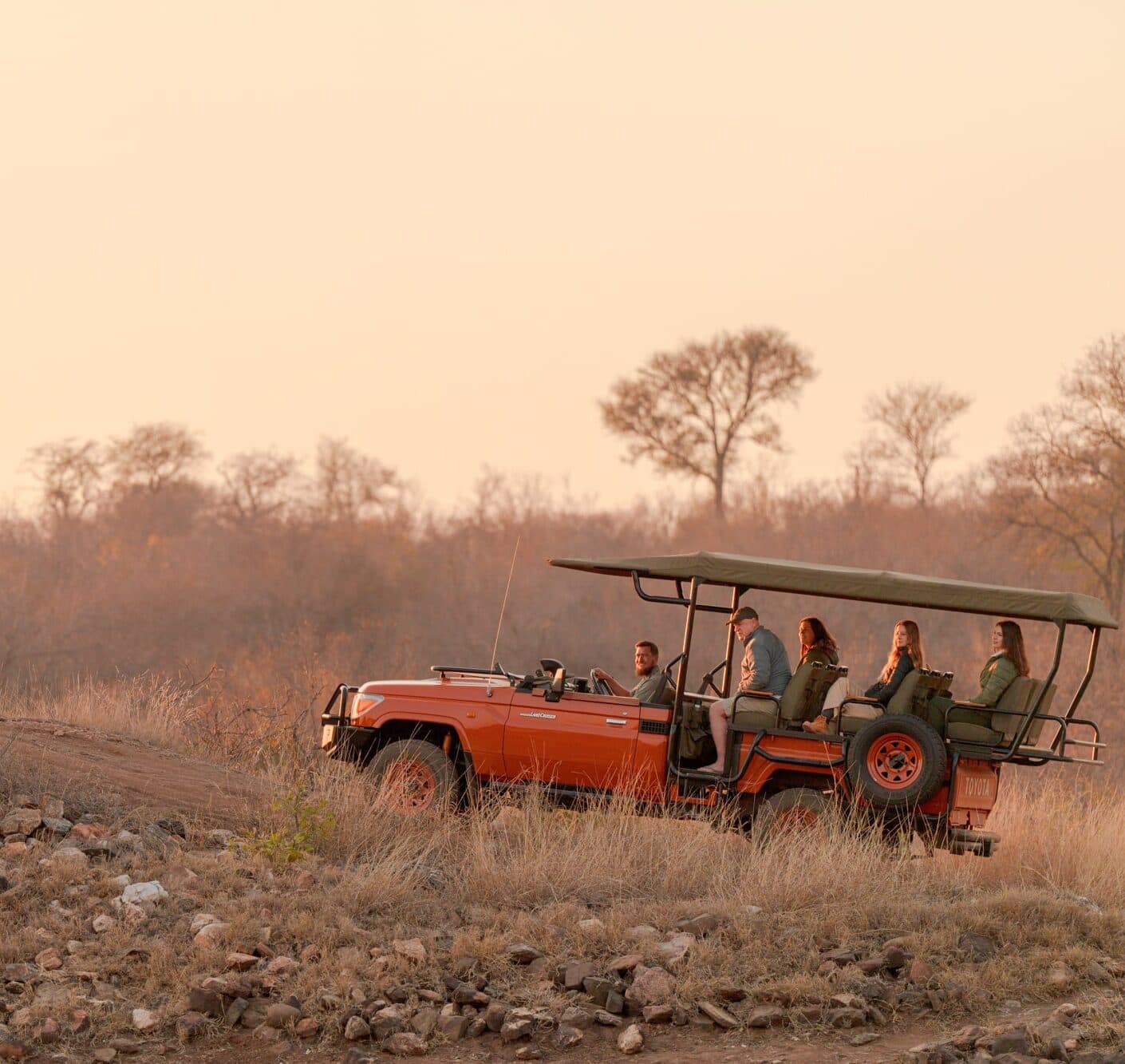 A safari game drive through the reserve at golden hour